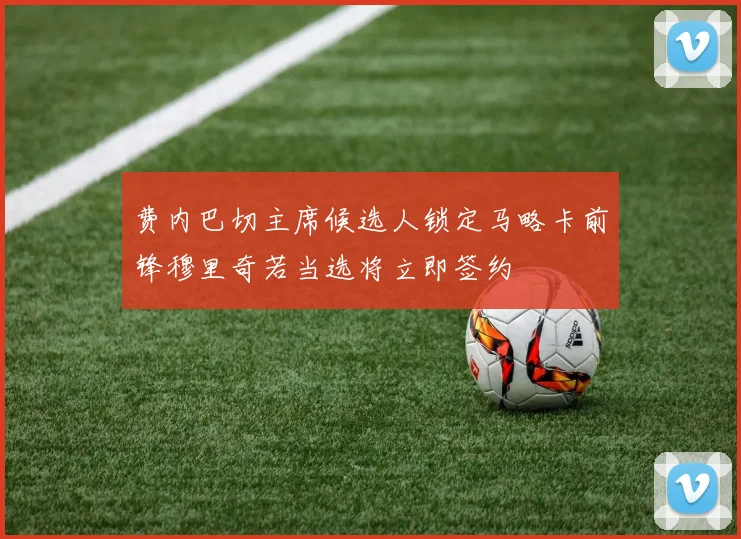 费内巴切主席候选人锁定马略卡前锋穆里奇若当选将立即签约